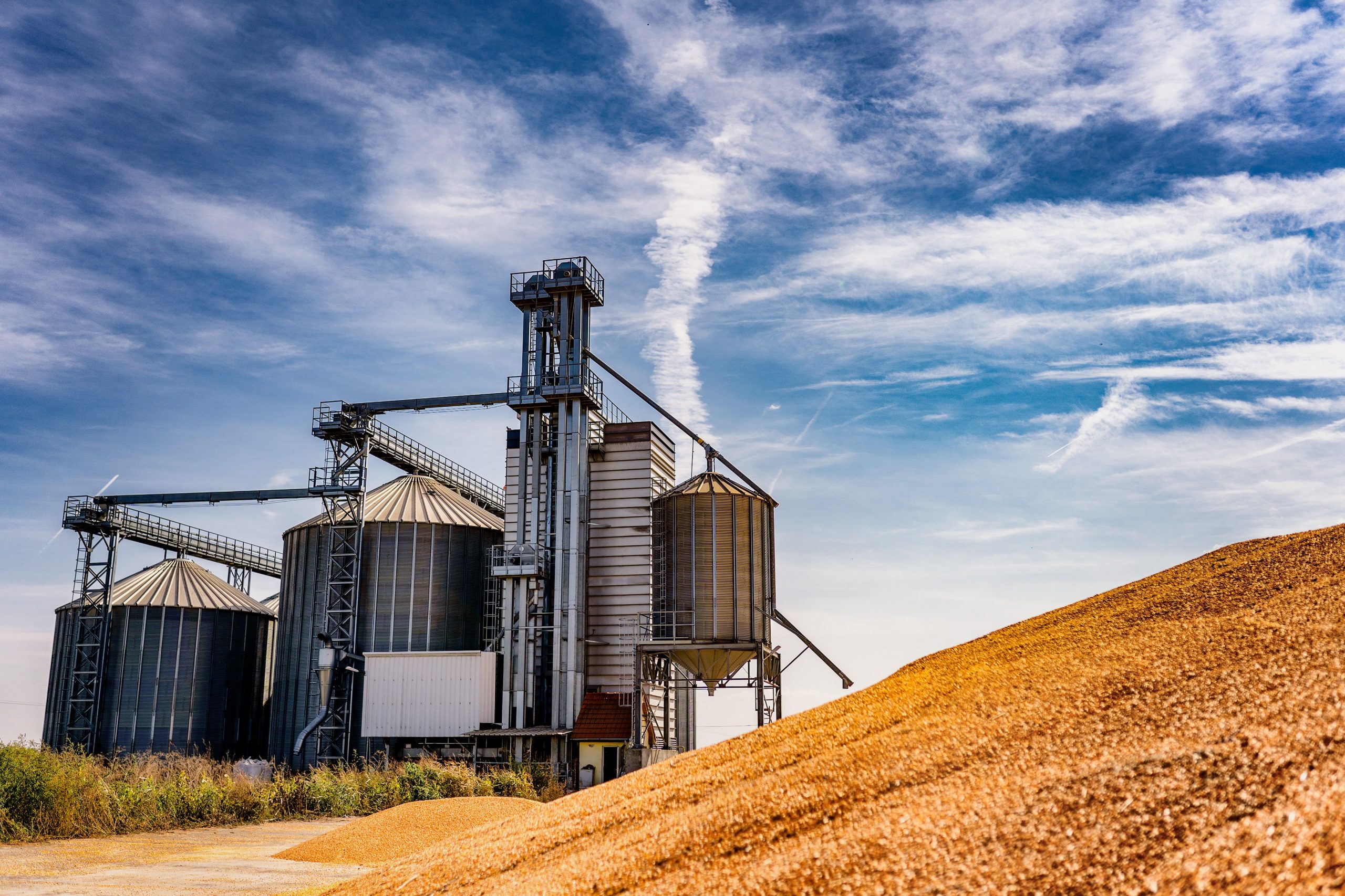 grain-silo-scaled
